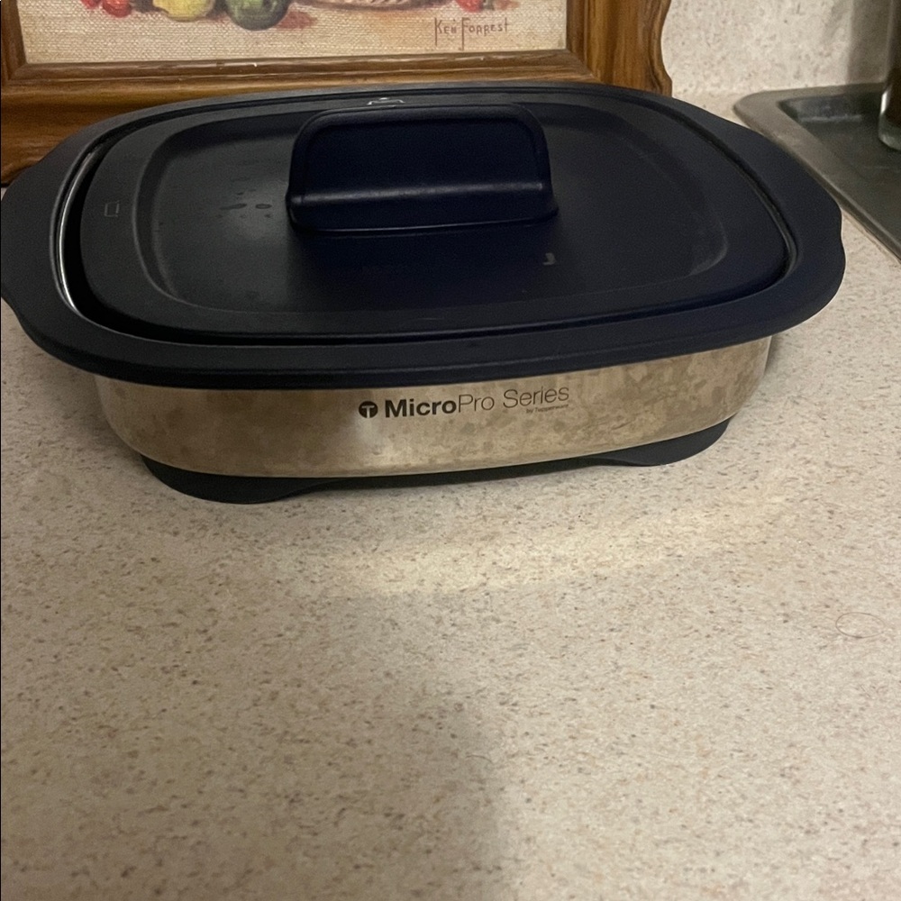 Tupperware MicroPro Series Grill - Blue and Silver